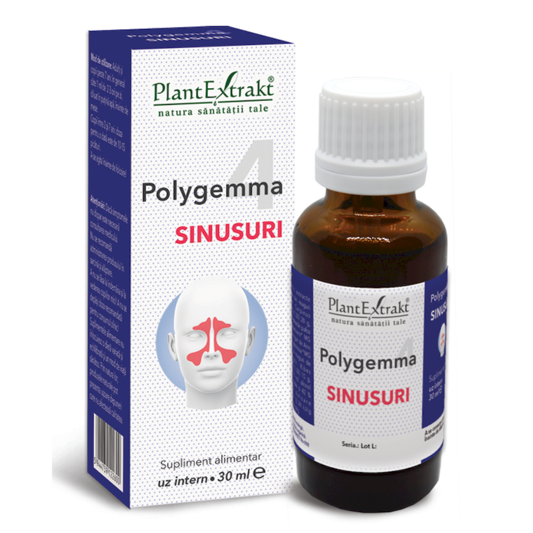 Polygemma 4, Sinusuri, 30 ml, Plant Extrakt